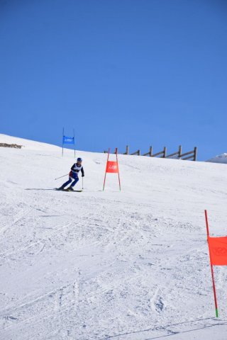 Чемпионат Узбекистана 2024